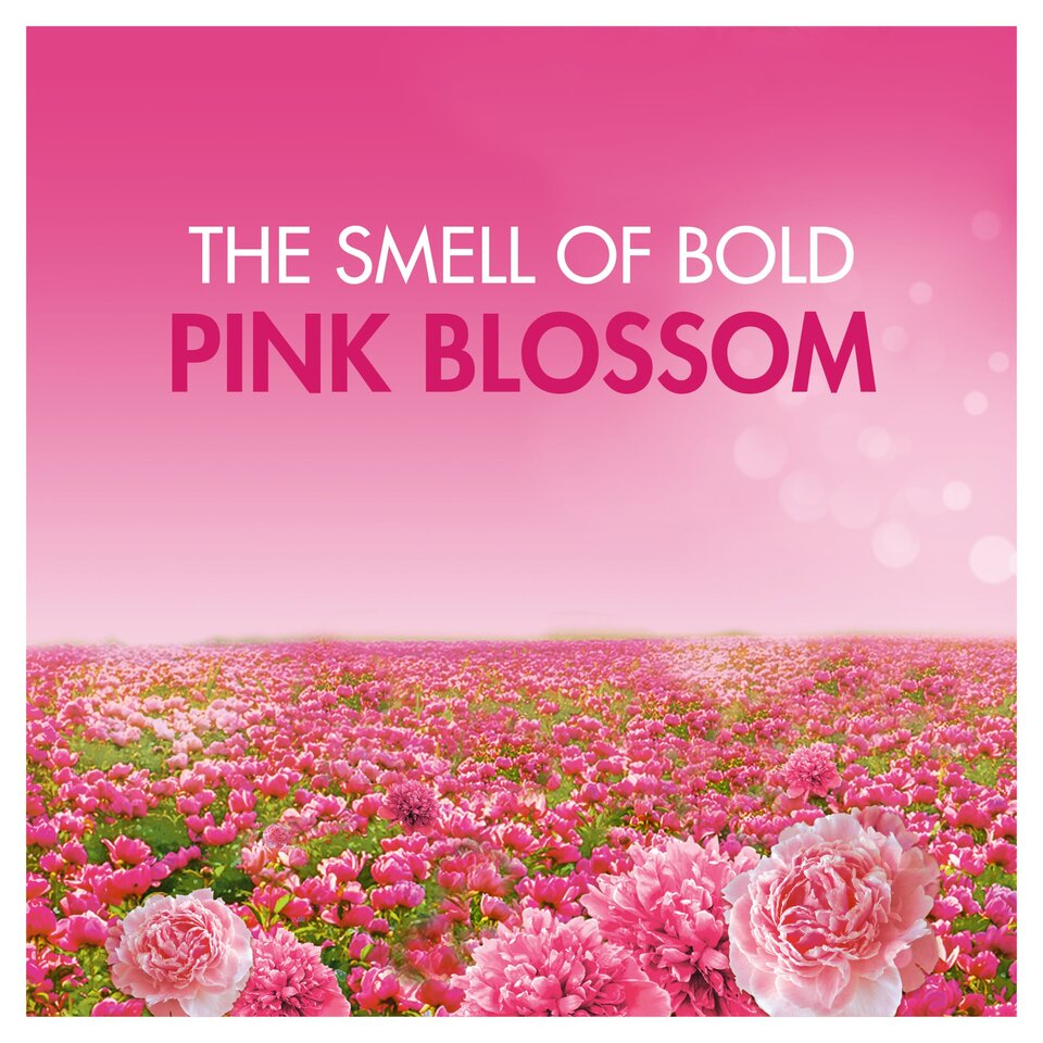 Bold All In One Washing Pods Pink Blossom 34 Washes